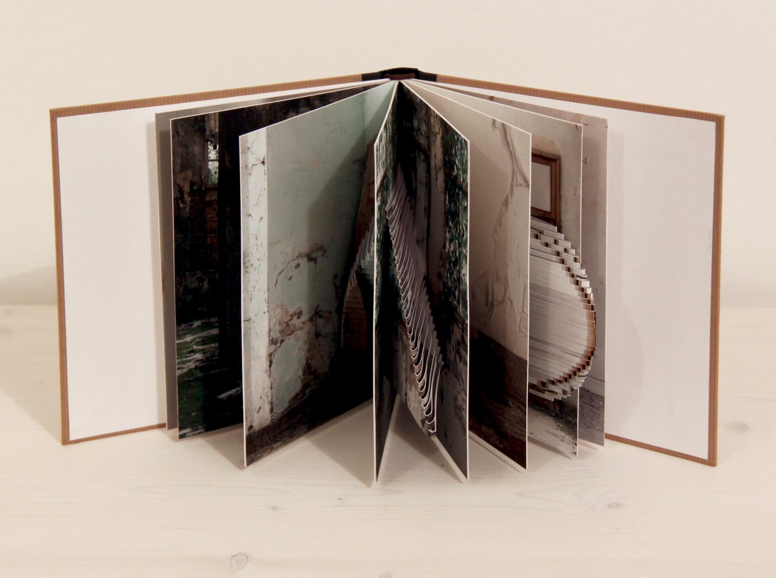 Silvia Camporesi, Fabbrica Caproni, 2013