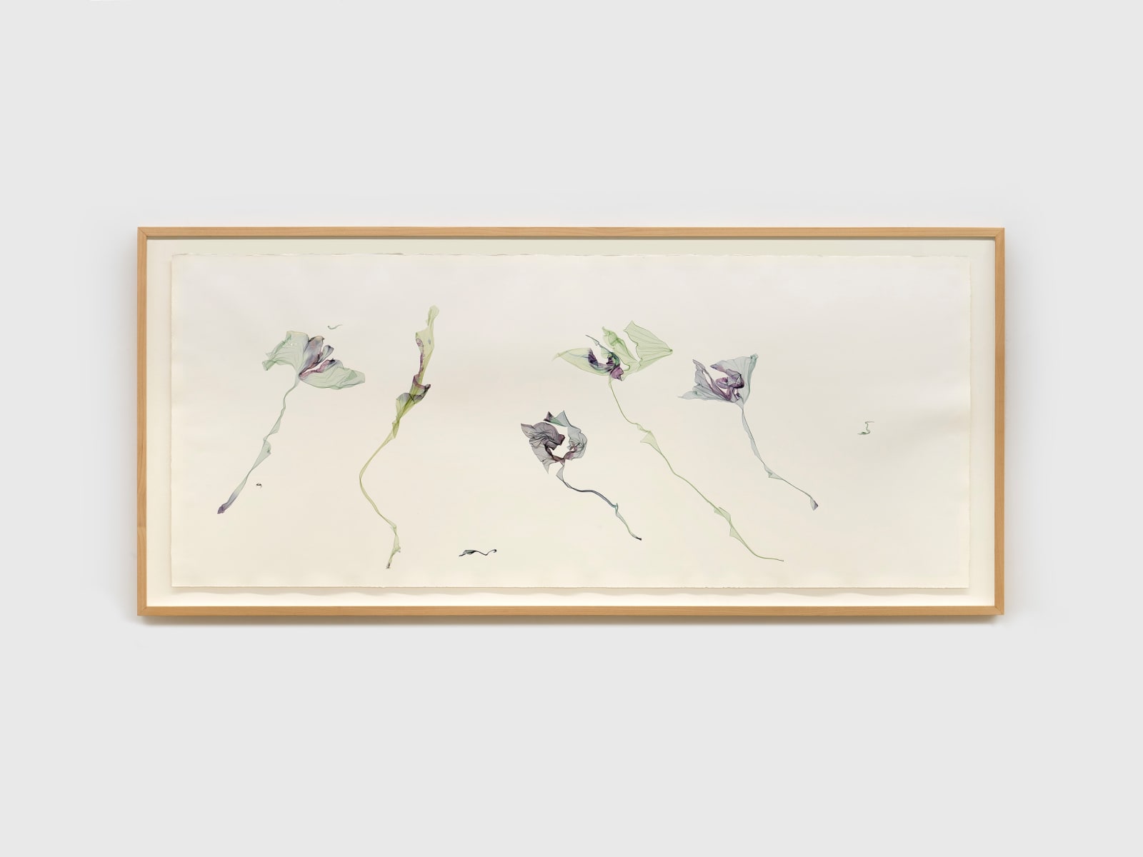 Beatrice Pediconi, Lotus Flowers At Sunset, 2025