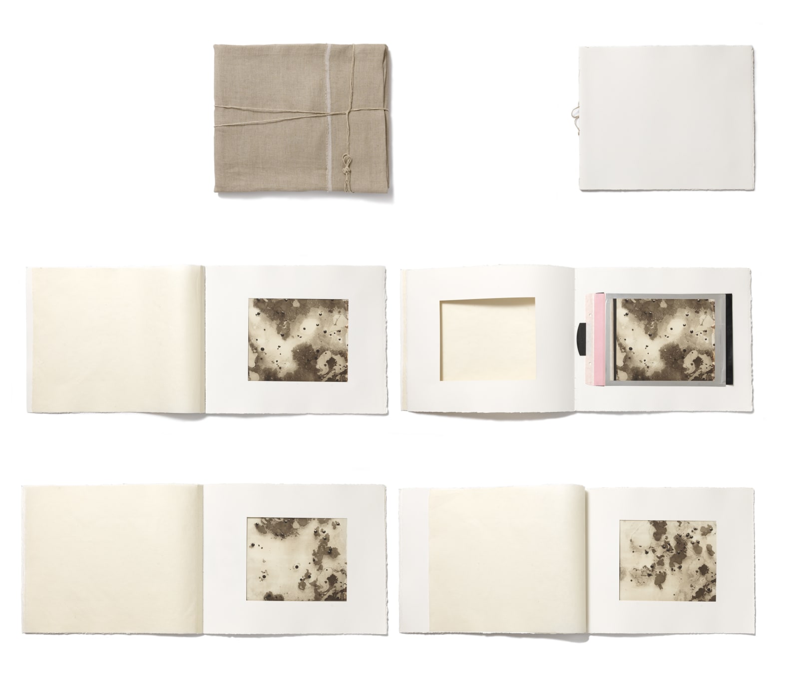 Beatrice Pediconi, Libro Aprile , 2015