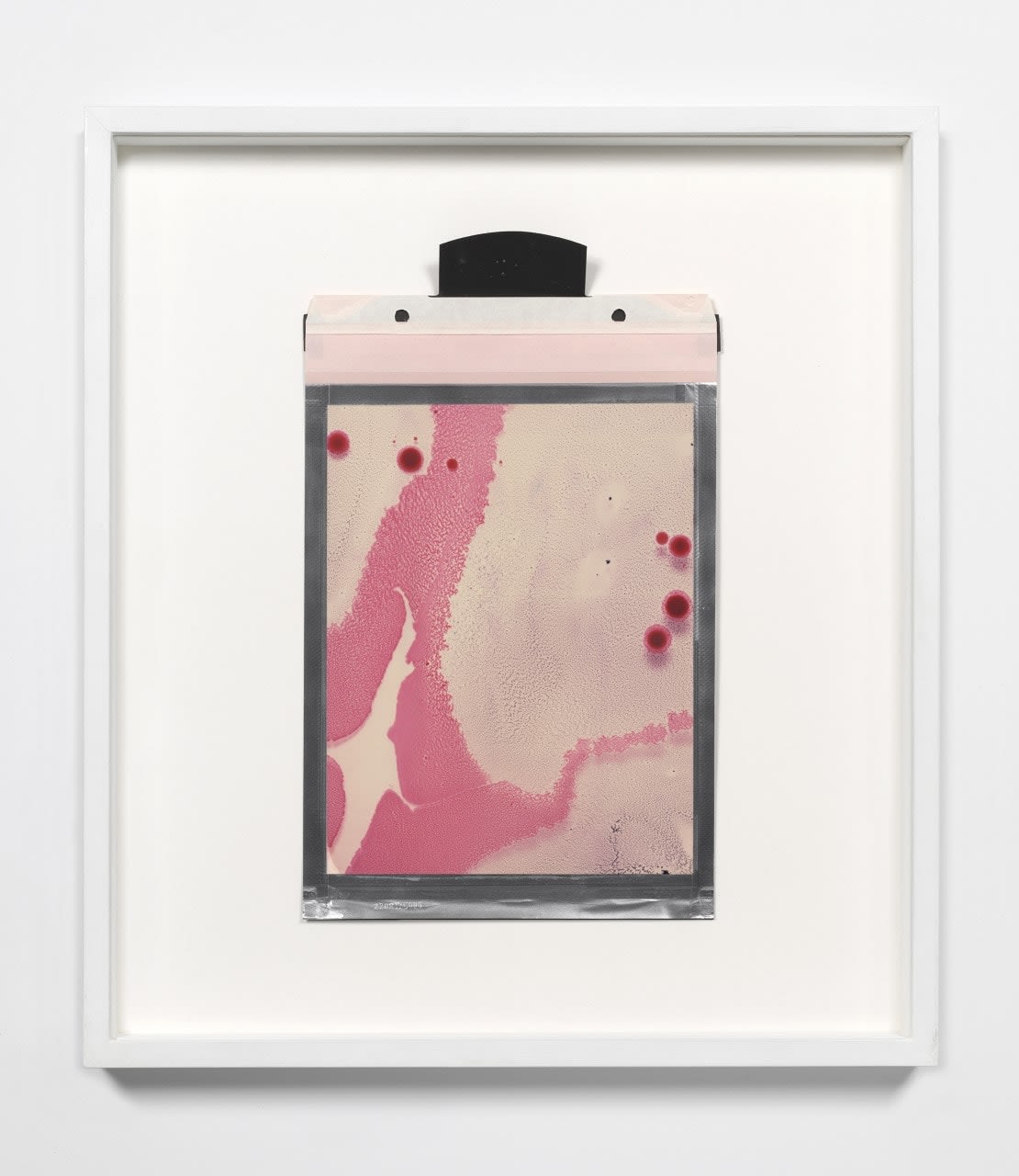 Beatrice Pediconi, Alien Solo #1_vc, 2016