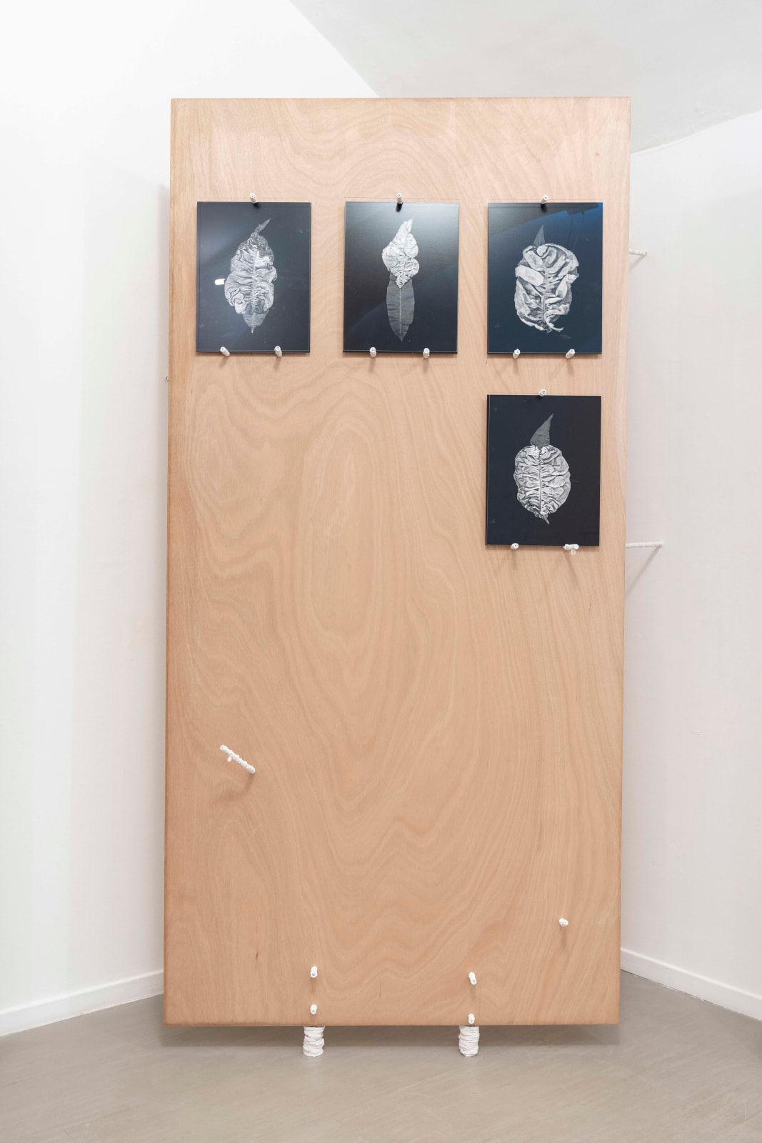 Michele Guido, taphrina deformans_2015/2021, 2021