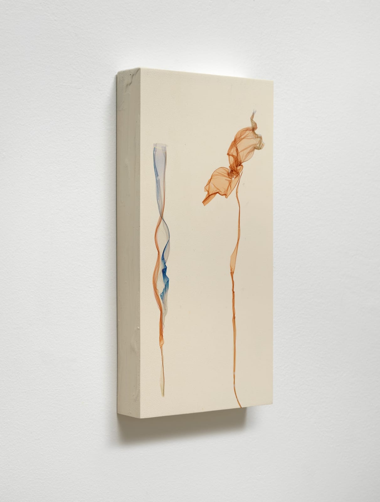 Beatrice Pediconi, Fiori del Mare <br> after Gianni D'Elia, 2025