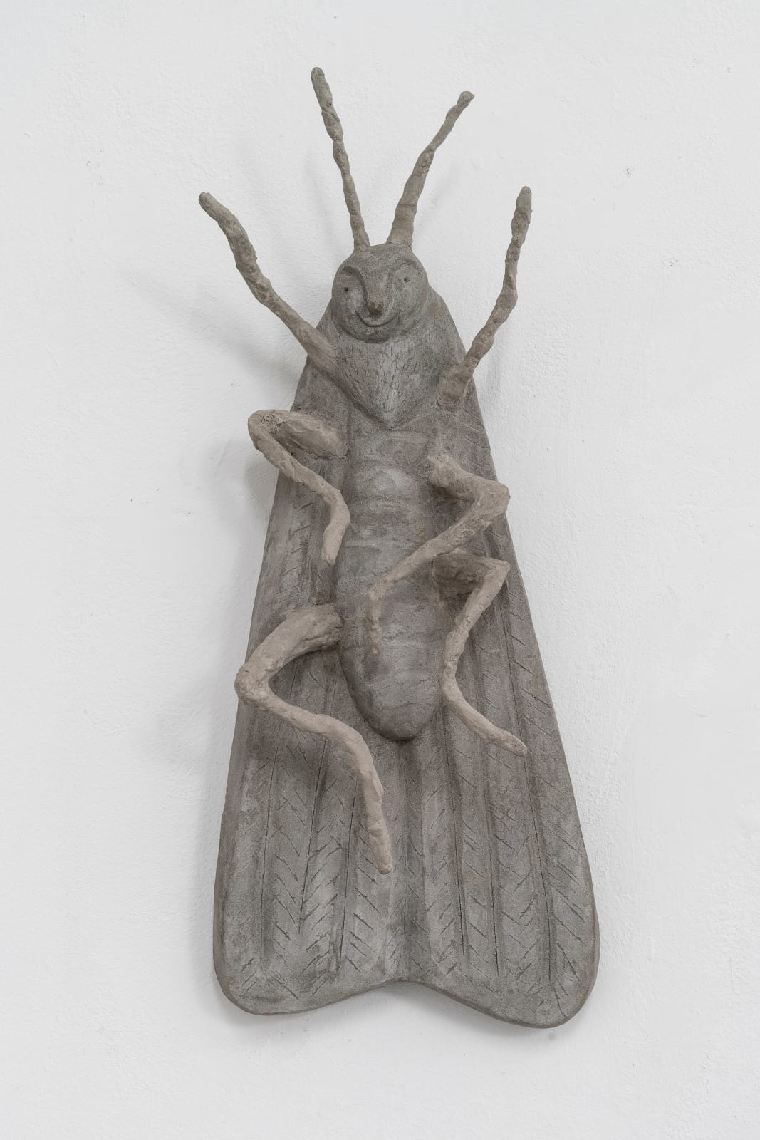 Anna Hulačová, Owlet moth, 2023