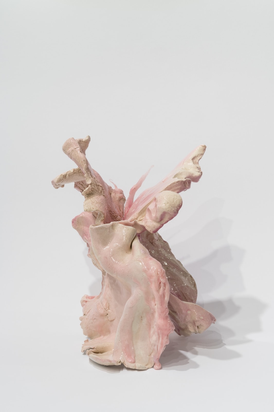 Guglielmo Maggini, Farfallone, 2024-2025