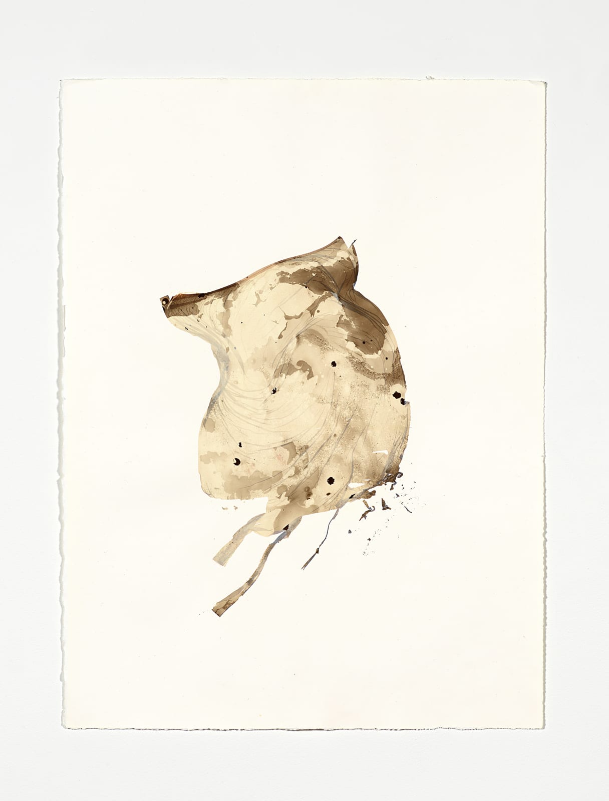 Beatrice Pediconi, Anamnesis #1, 2019