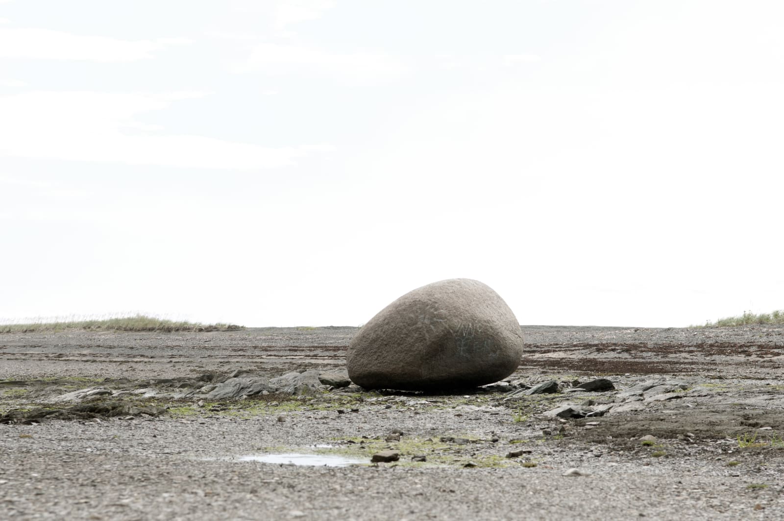 Silvia Camporesi, À perte de vue, 2011