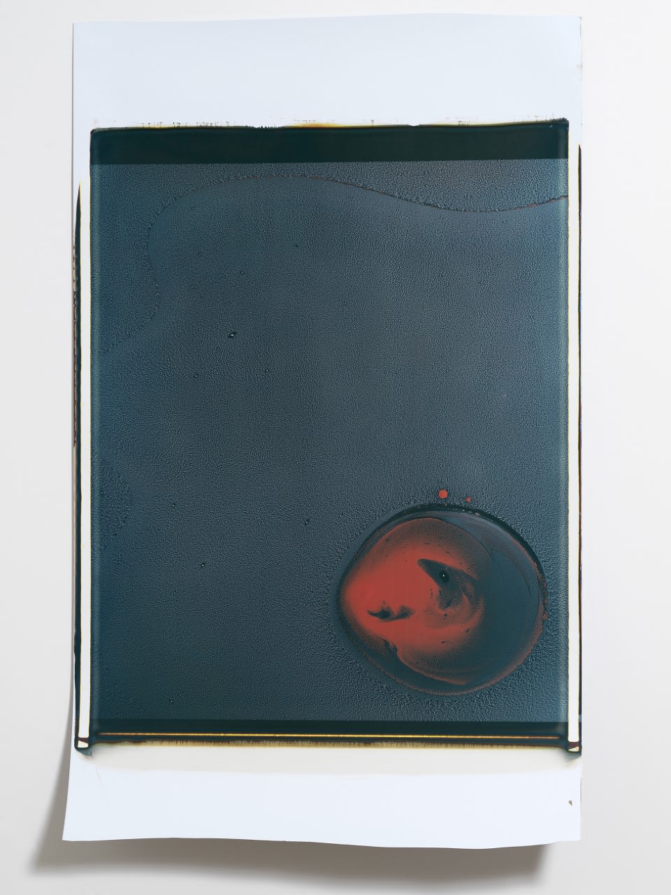 Beatrice Pediconi, Gaea #20, 2018