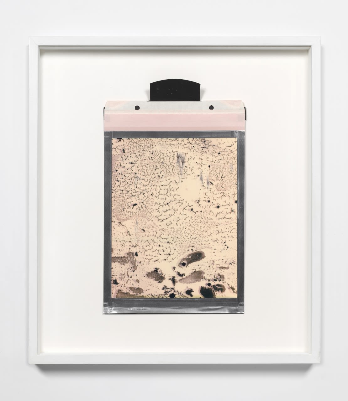 Beatrice Pediconi, Gaea #6, 2018