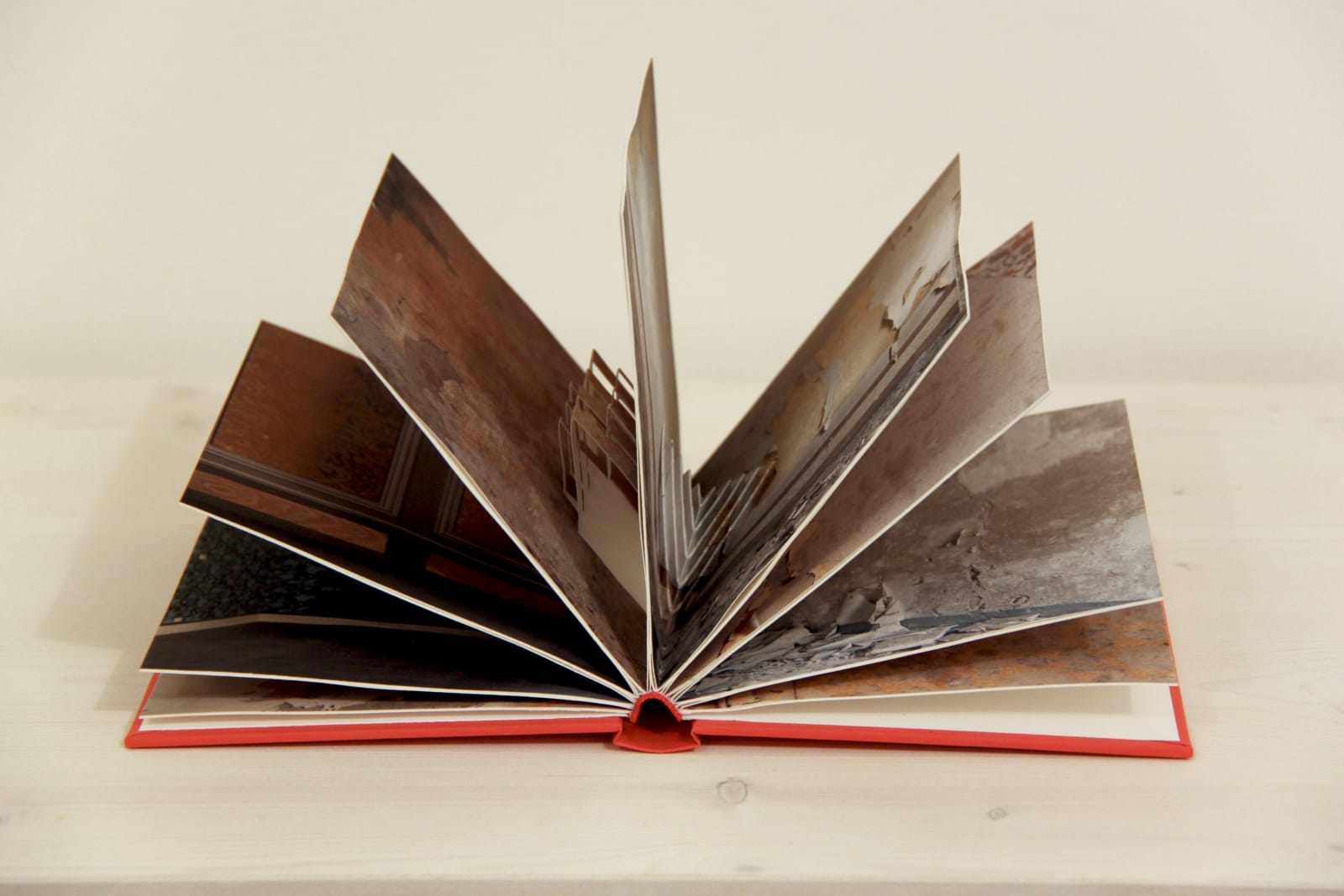 Silvia Camporesi, Apice, 2012