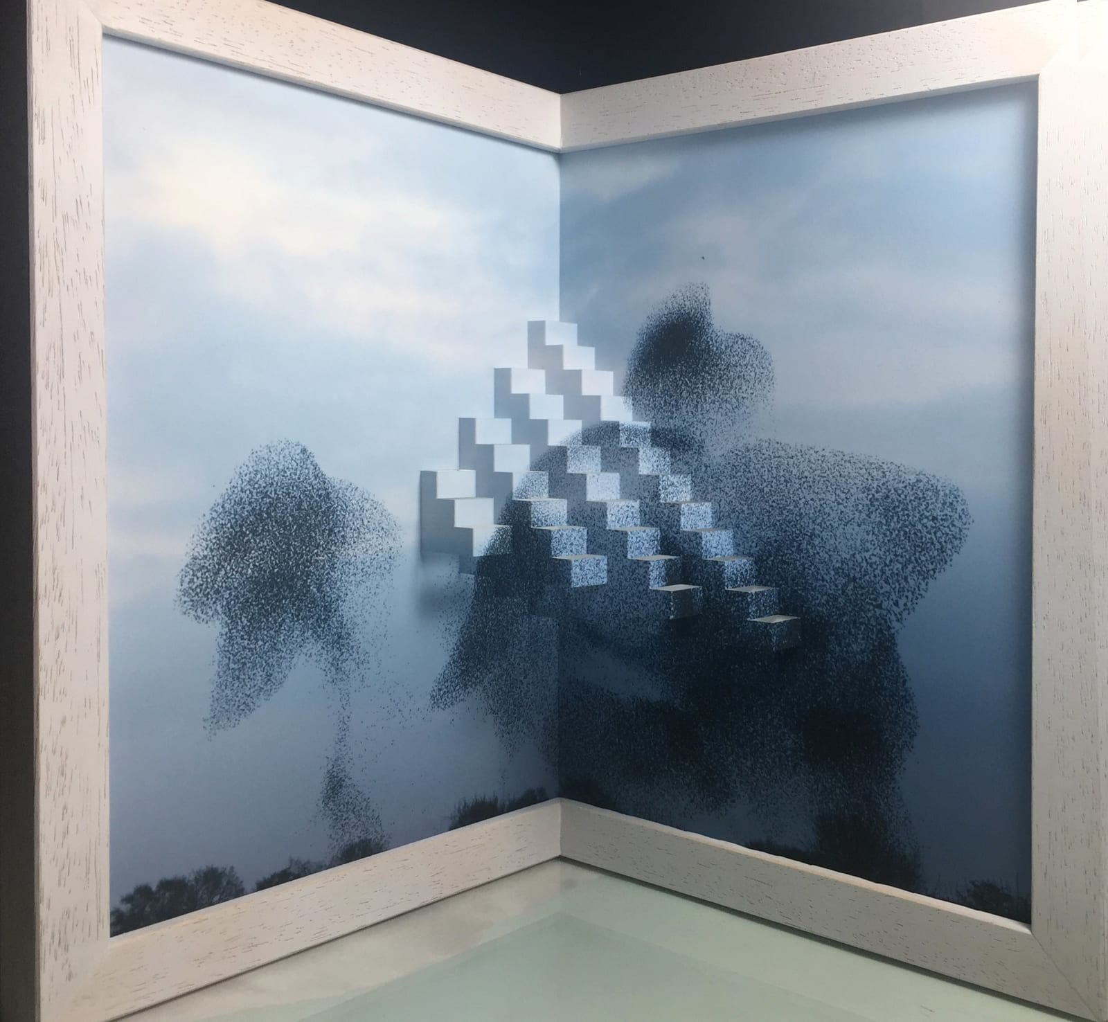 Silvia Camporesi, Murmuration II, 2017
