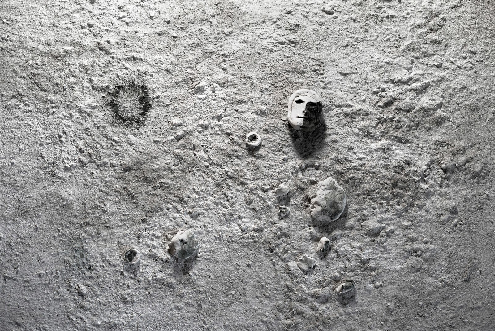 Silvia Camporesi, Cydonia - Il volto su Marte, 2017