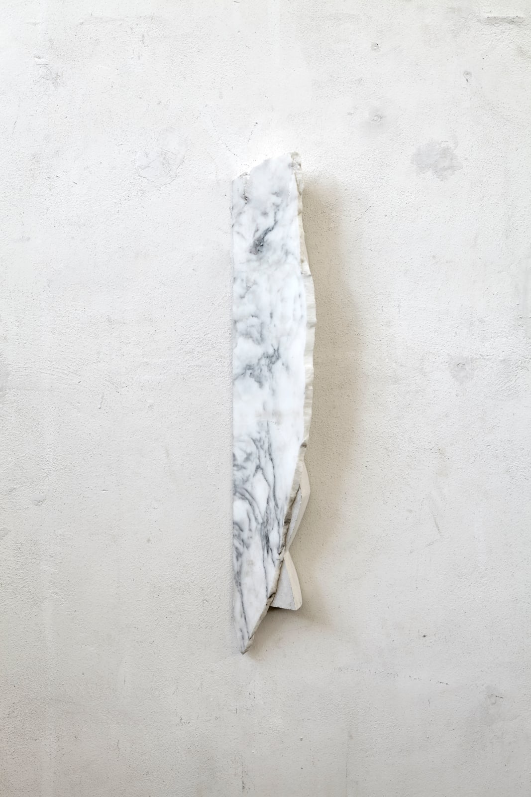 Fabrizio Prevedello, Ragazzo! Bisogna disegnare! (e undici) (206), 2017