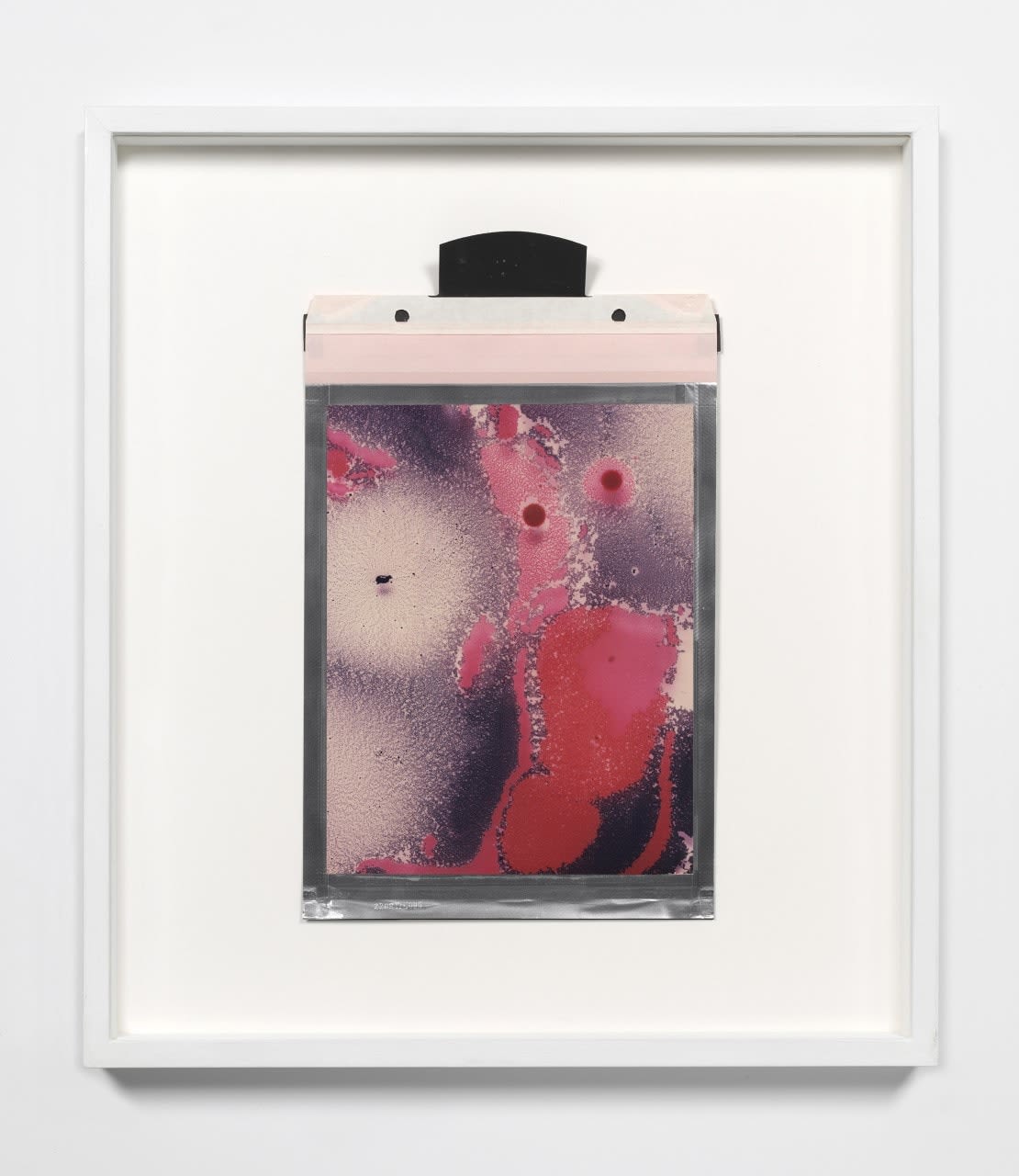 Beatrice Pediconi, Alien Solo #3_vc, 2016