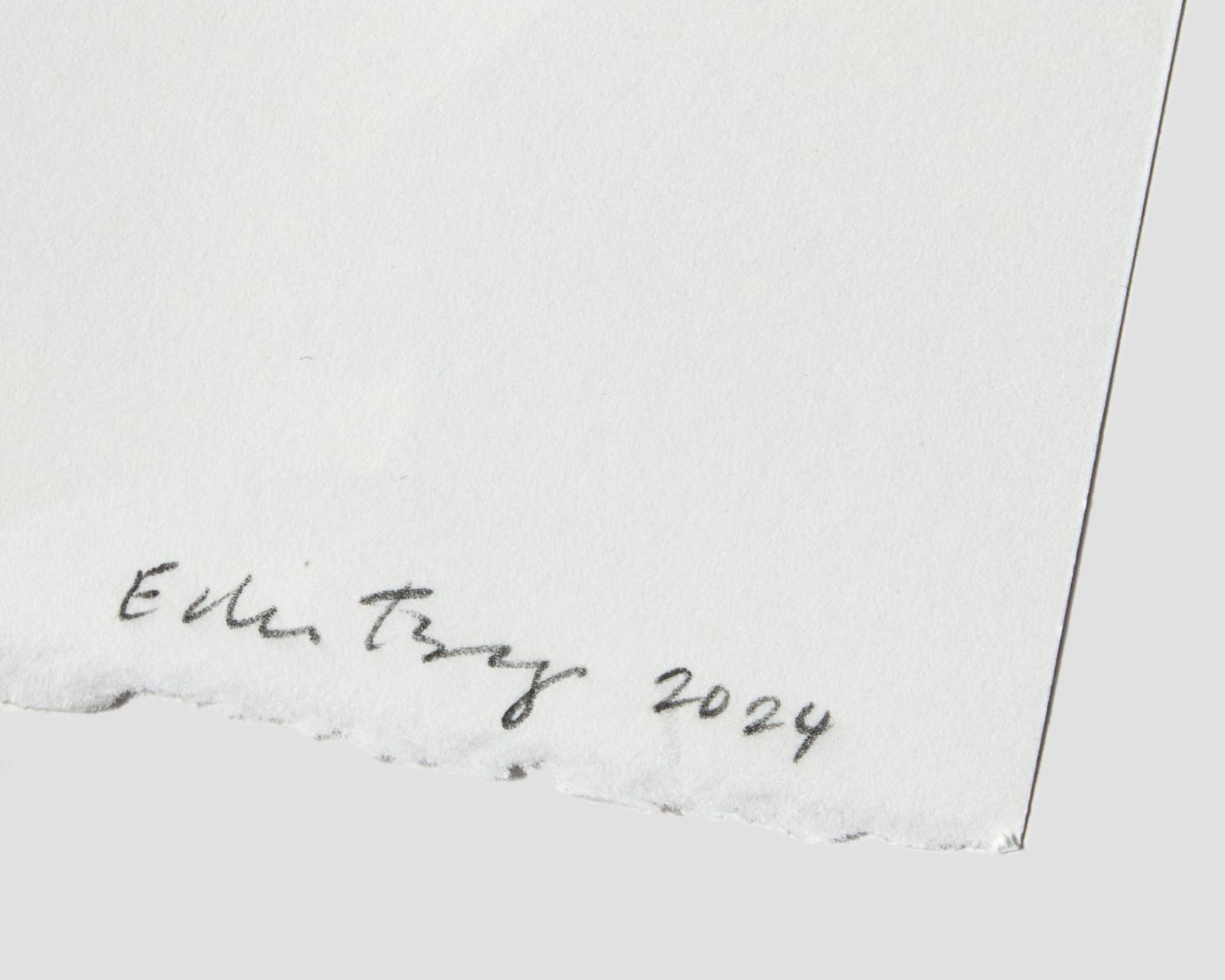 Edie Tsong, T'ai-chung 1980 (Lineage), 2024