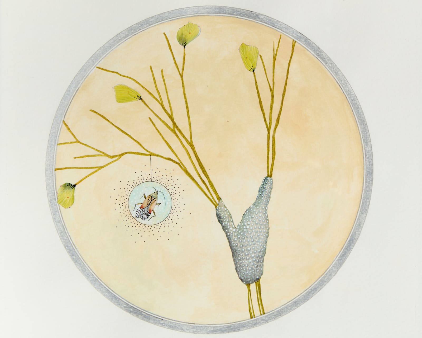 Bunny Tobias, Here's What Moves in Magnificent Masses Careless of Particulars #16