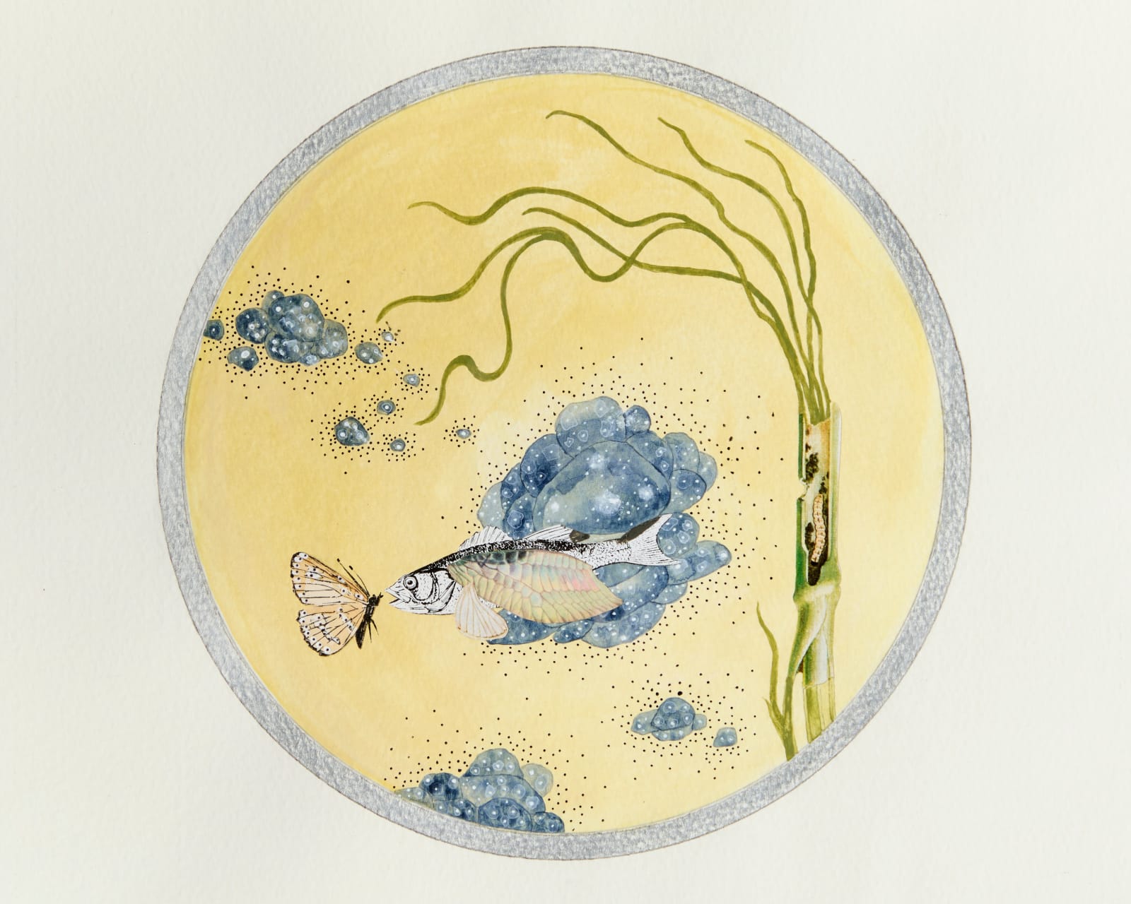 Bunny Tobias, Here's What Moves in Magnificent Masses Careless of Particulars #18, 2025