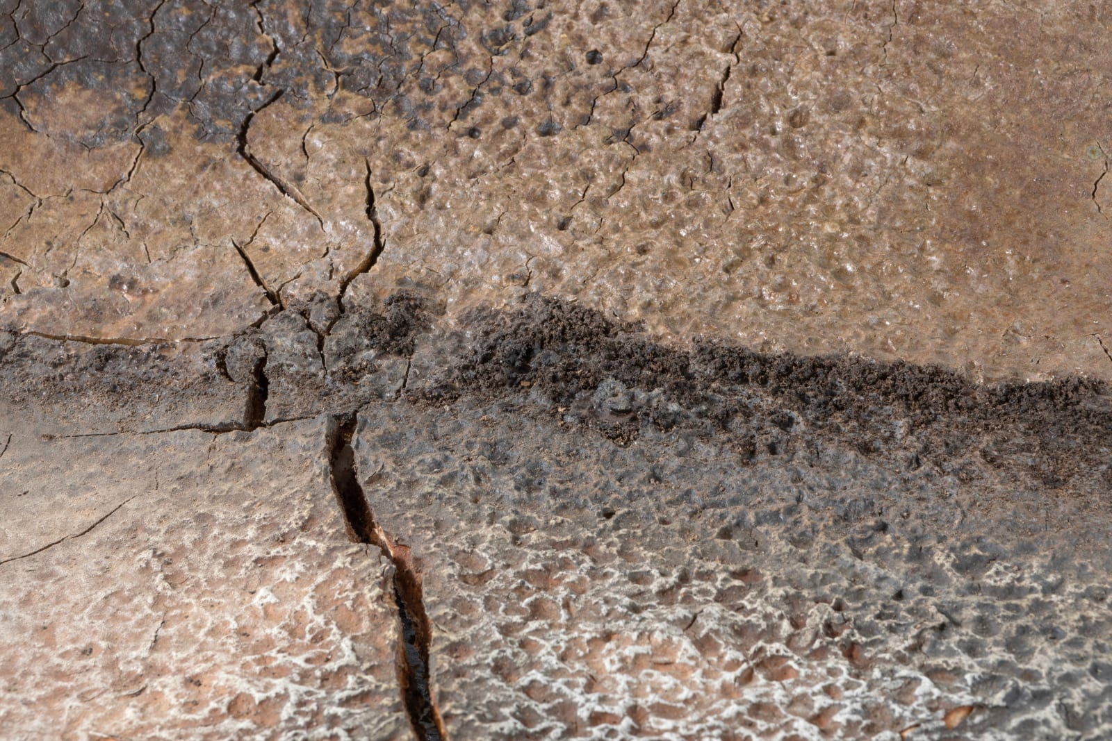 Avi Farber, Split Stone, Cretaceous Seaway, 2025