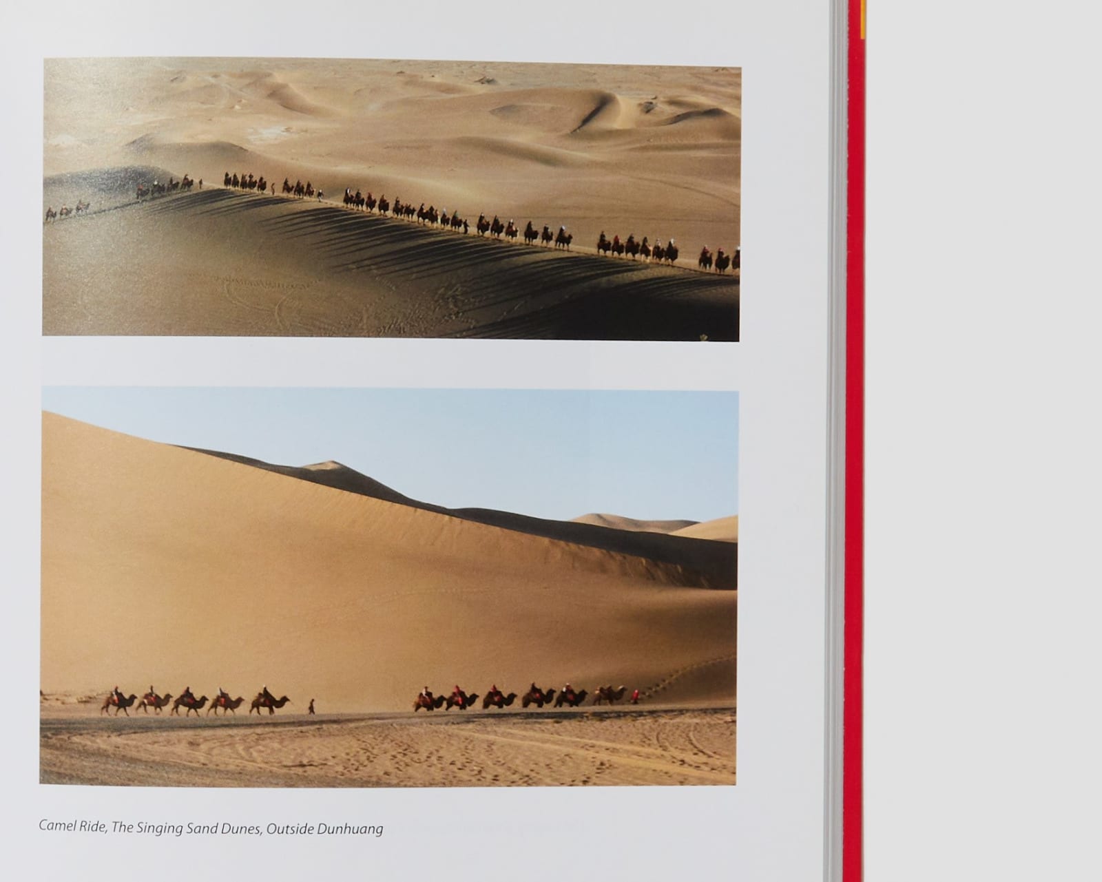 Books, Bullet Trains to Yaks - Glimpses into Art, Politics, and Culture in China and Tibet