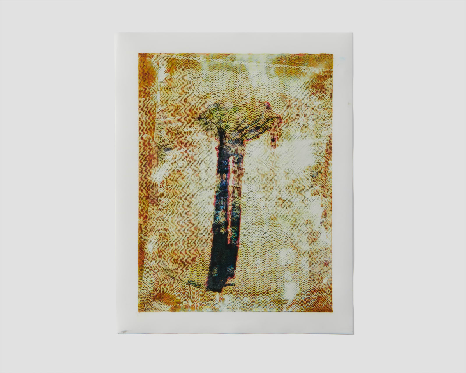 Lynda Fay Braun, Untitled 1, 2023