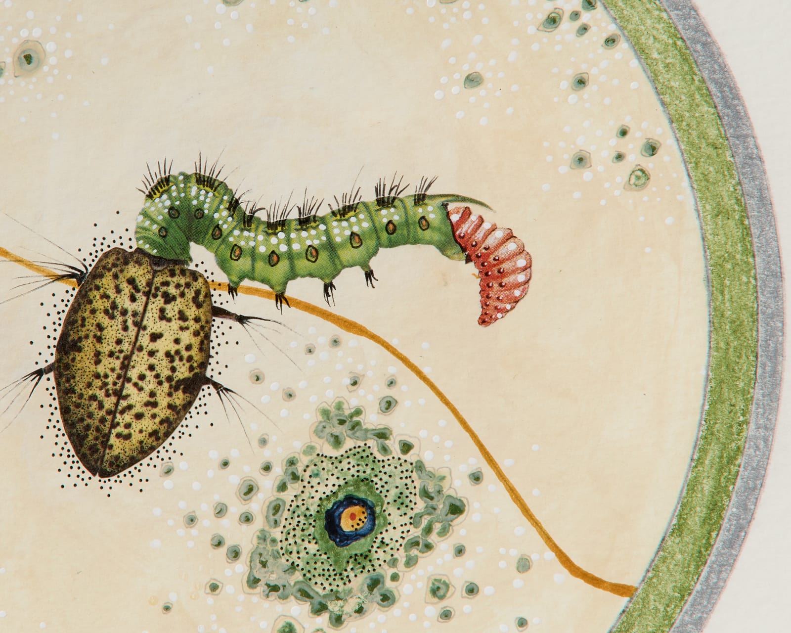 Bunny Tobias, Here Is What Moves in Magnificent Masses Careless of Particulars (#14), 2025