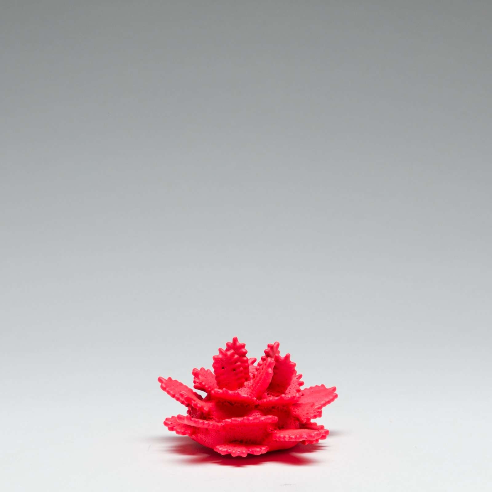 Brian Fleetwood, Xenoplankton, 2019-2020