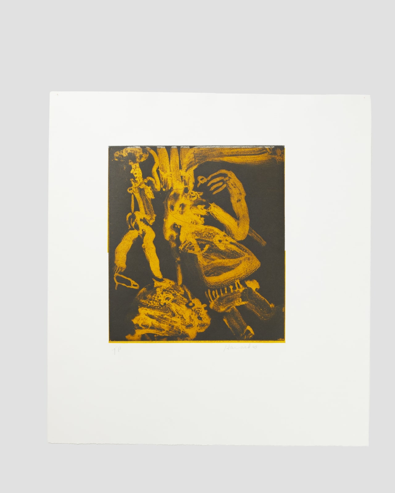 James Havard, Untitled T/P, 1995