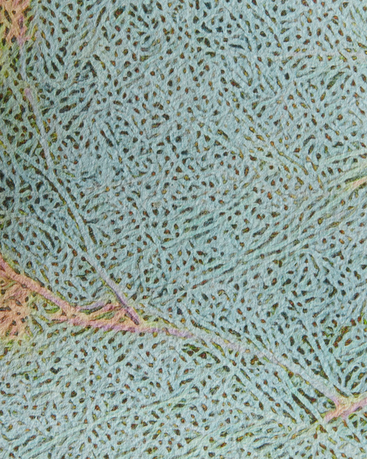 Lynda Fay Braun, Wishful Thinking, 2023