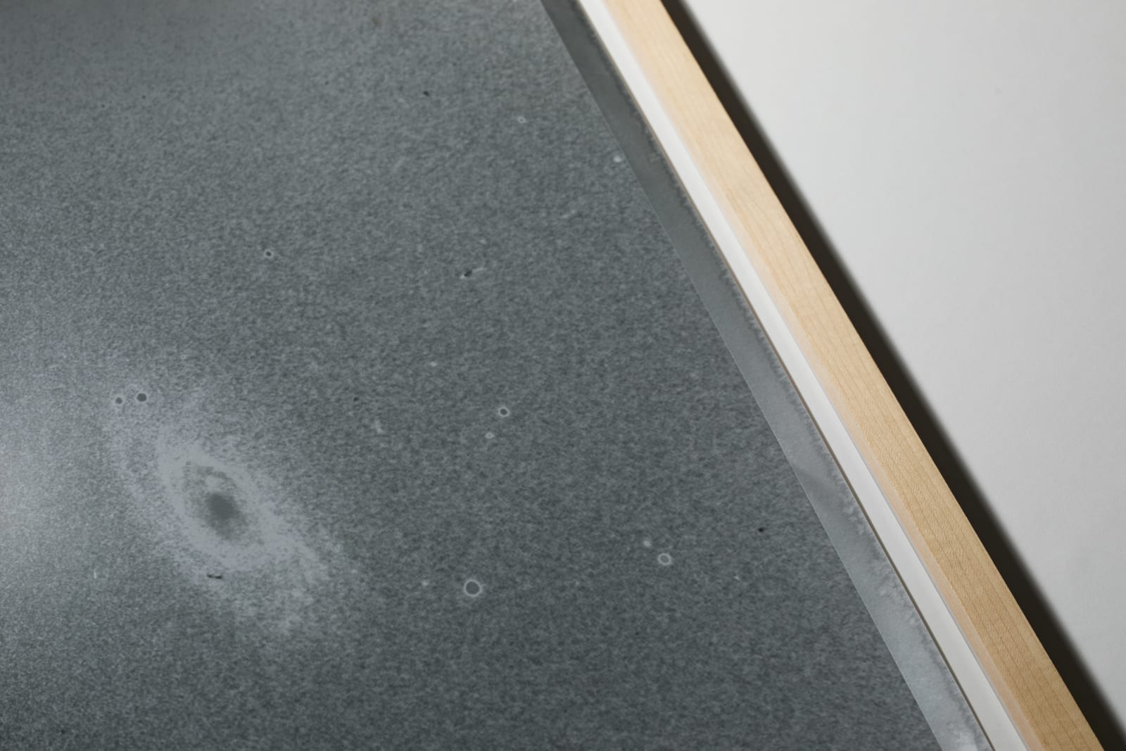 Dan Hojnacki, Andromeda, 2022