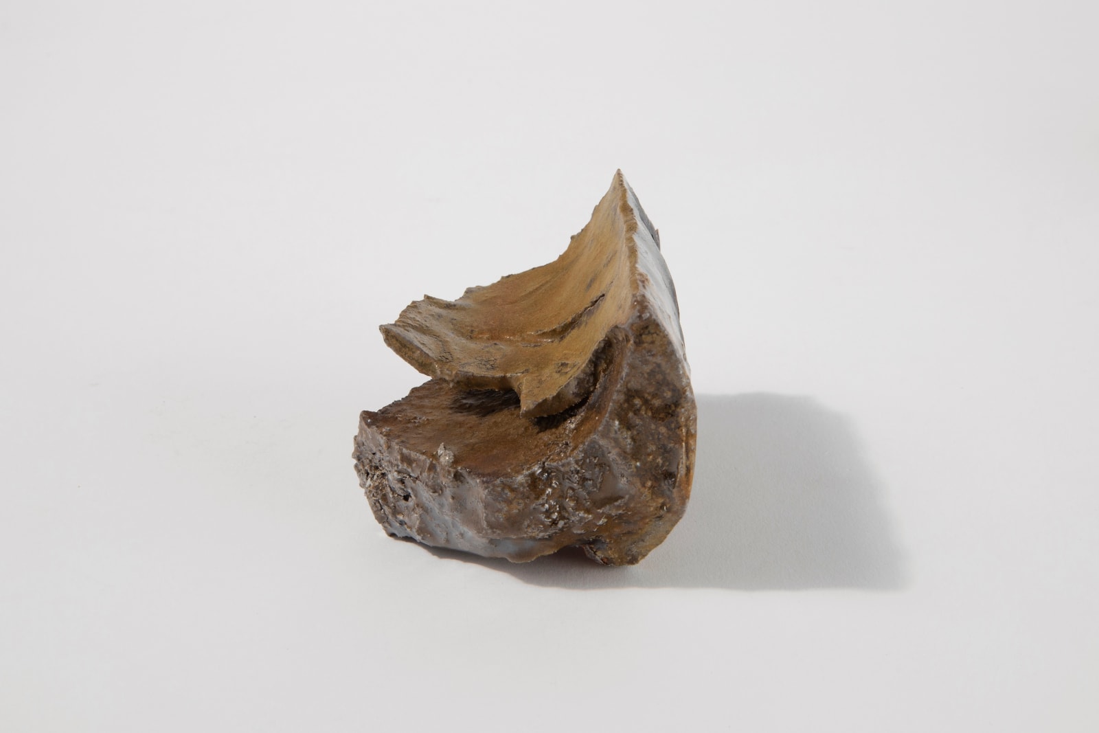 Avi Farber, Chunk 1, 2025