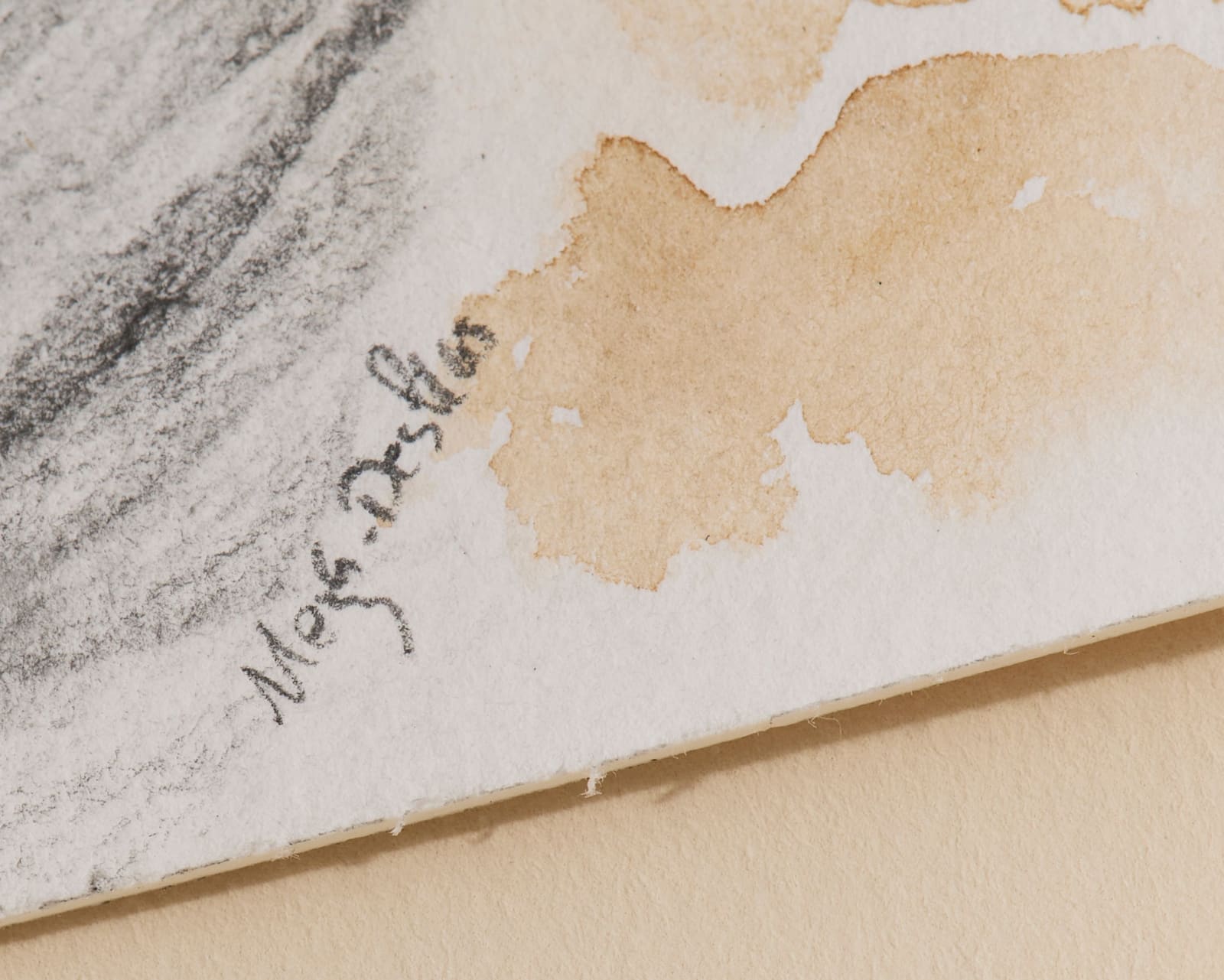 Rosemary Meza-DesPlas, Invisible Francia, 2023