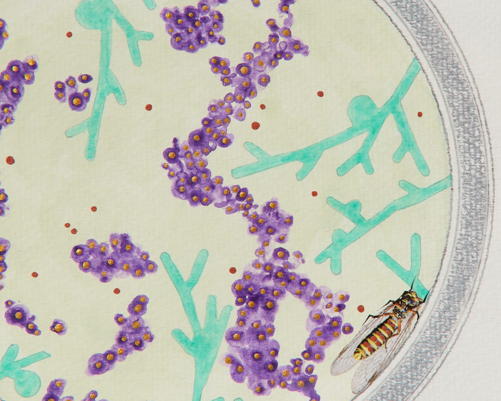 Bunny Tobias, Here Is What Moves in Magnificent Masses Careless of Particulars (#12), 2025