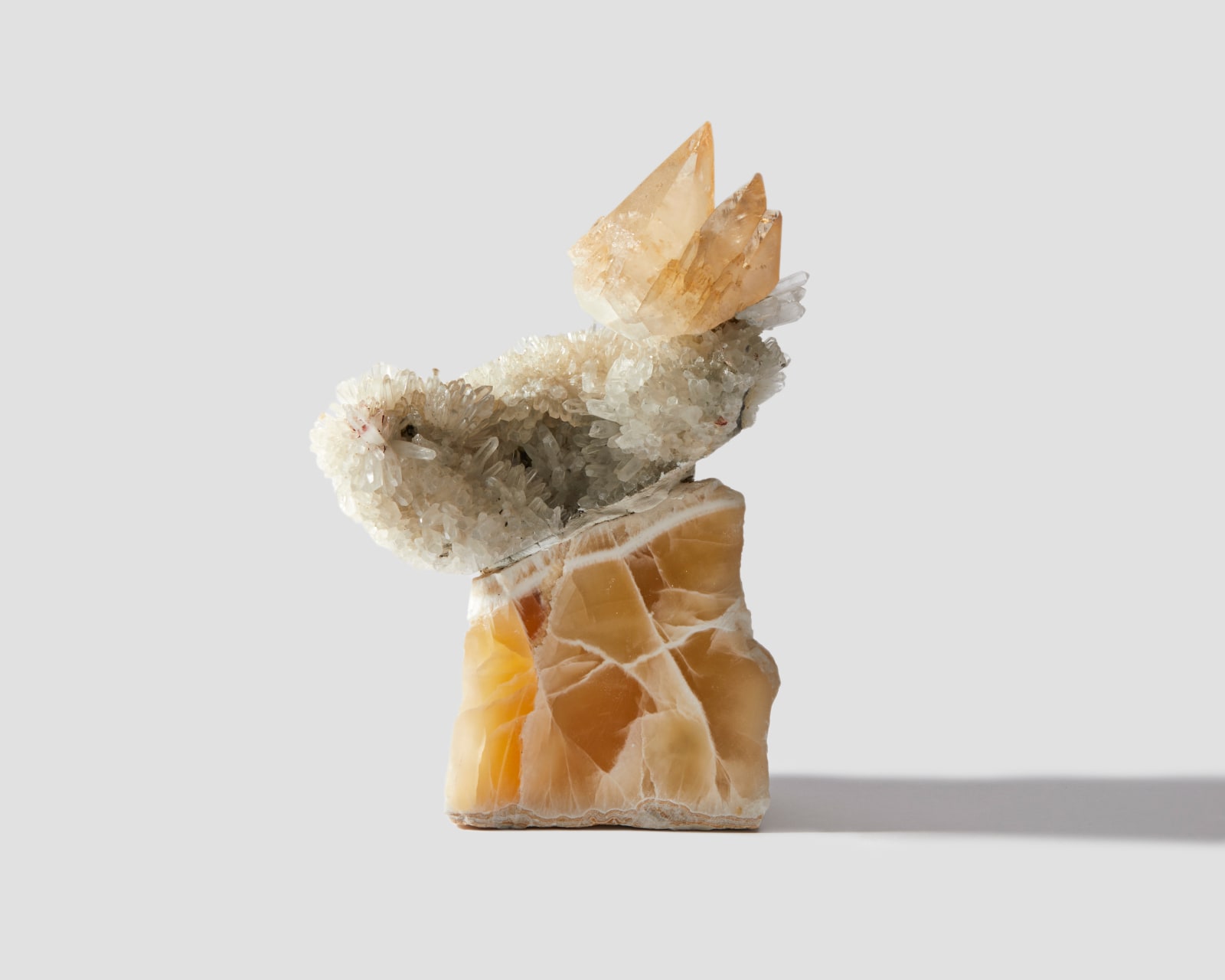 Debra Baxter, Splendid, 2022