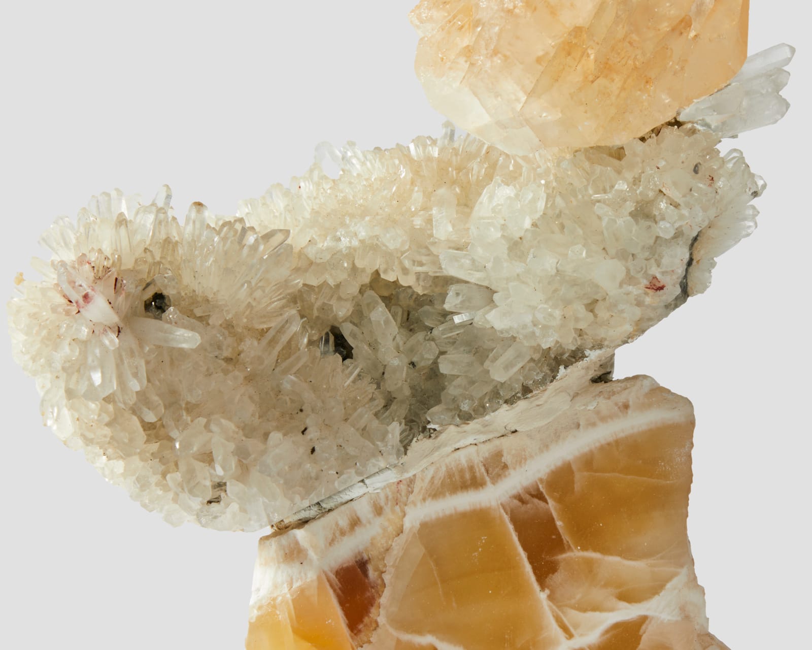 Debra Baxter, Splendid, 2022