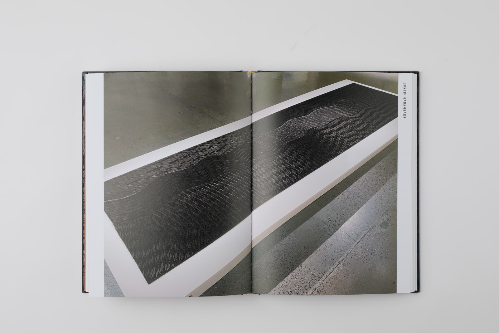 Radius Books, Exposure: Native Art and Political Ecology, 2022