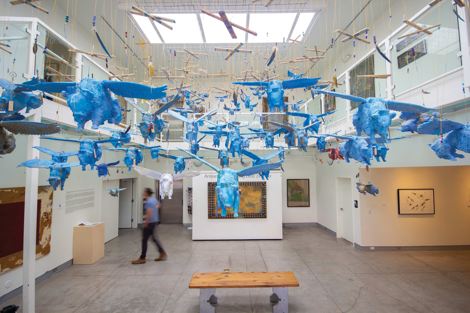 Armond Lara, Flying Blue Buffalo (installation), 2018