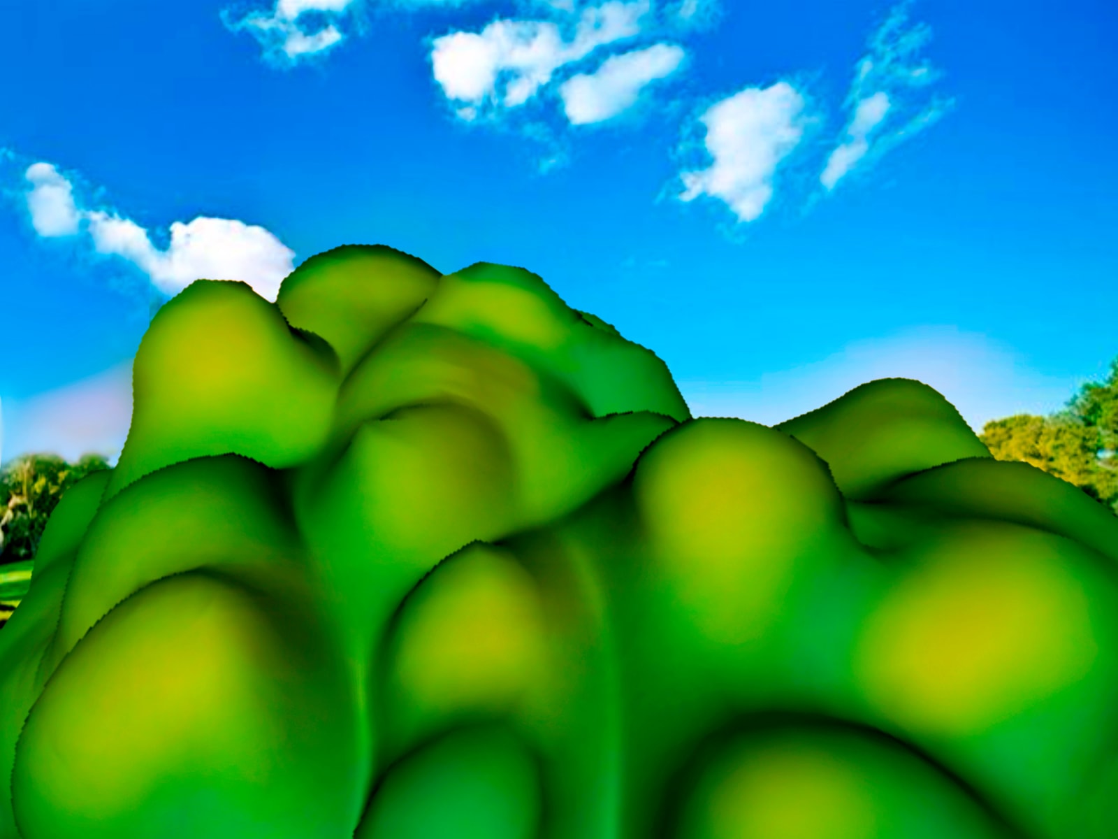 Anne Farrell, ABSTRAK51, 2015-2018