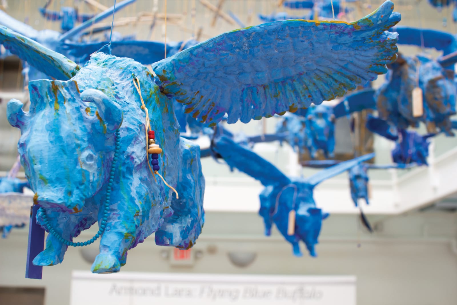 Armond Lara, Flying Blue Buffalo (installation), 2018