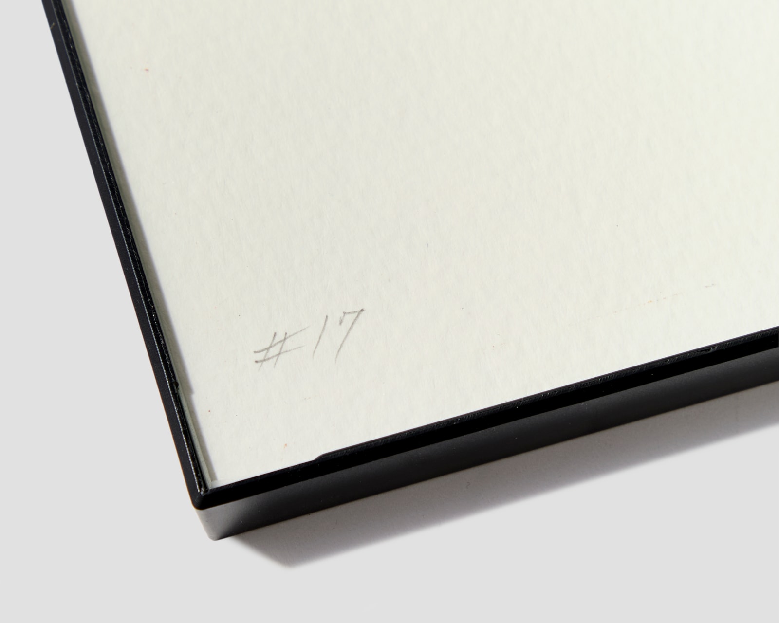 Bunny Tobias, Here's What Moves in Magnificent Masses Careless of Particulars #17, 2025