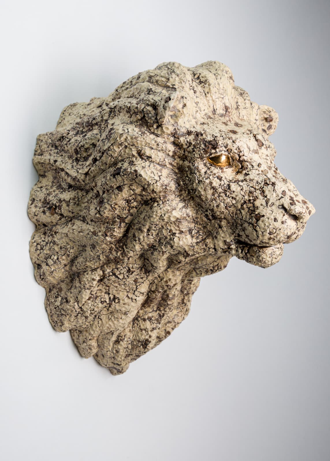 Wookjae Maeng, Balance - Lion B, 2017