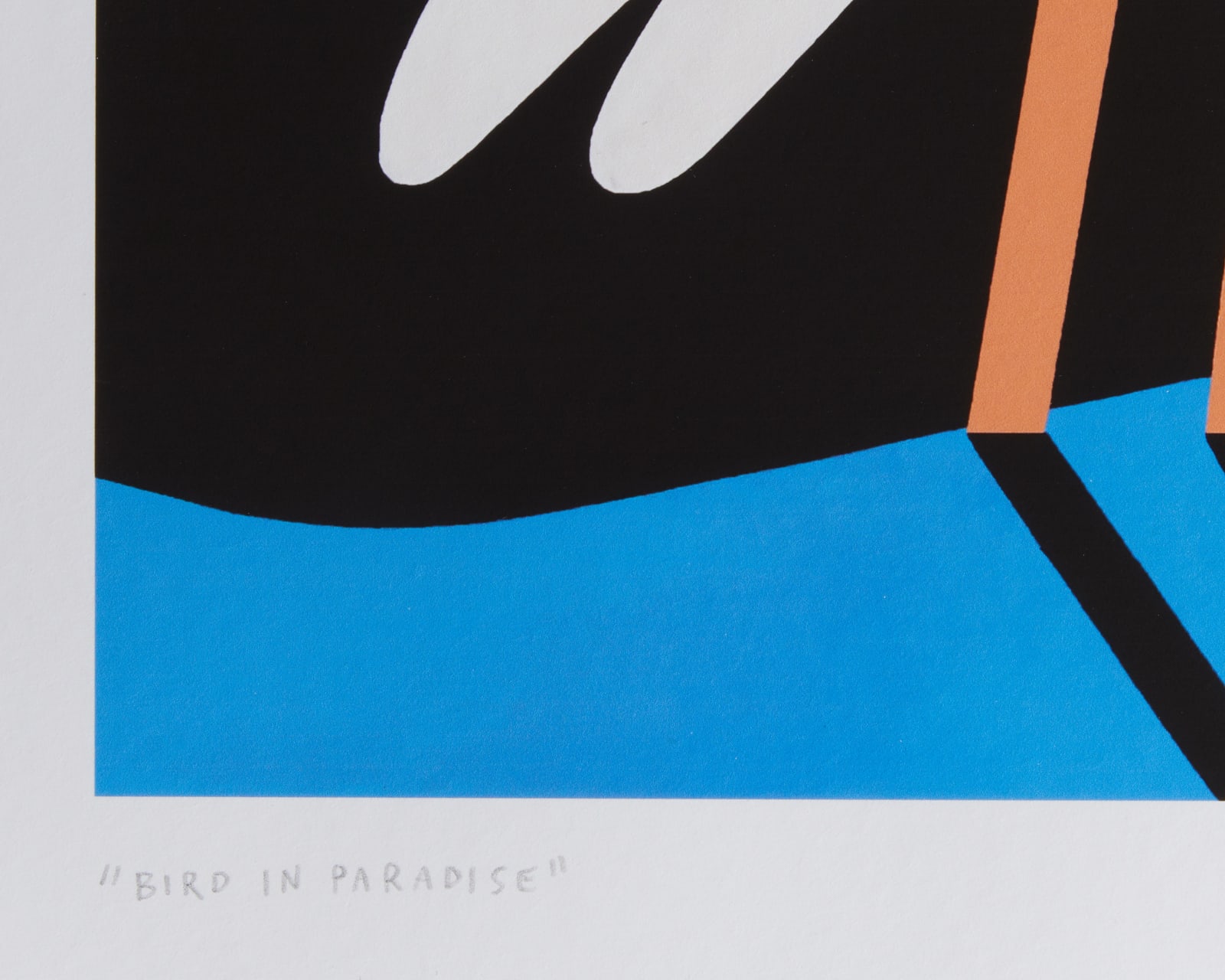 Paulina Ho, Bird in Paradise, 2021