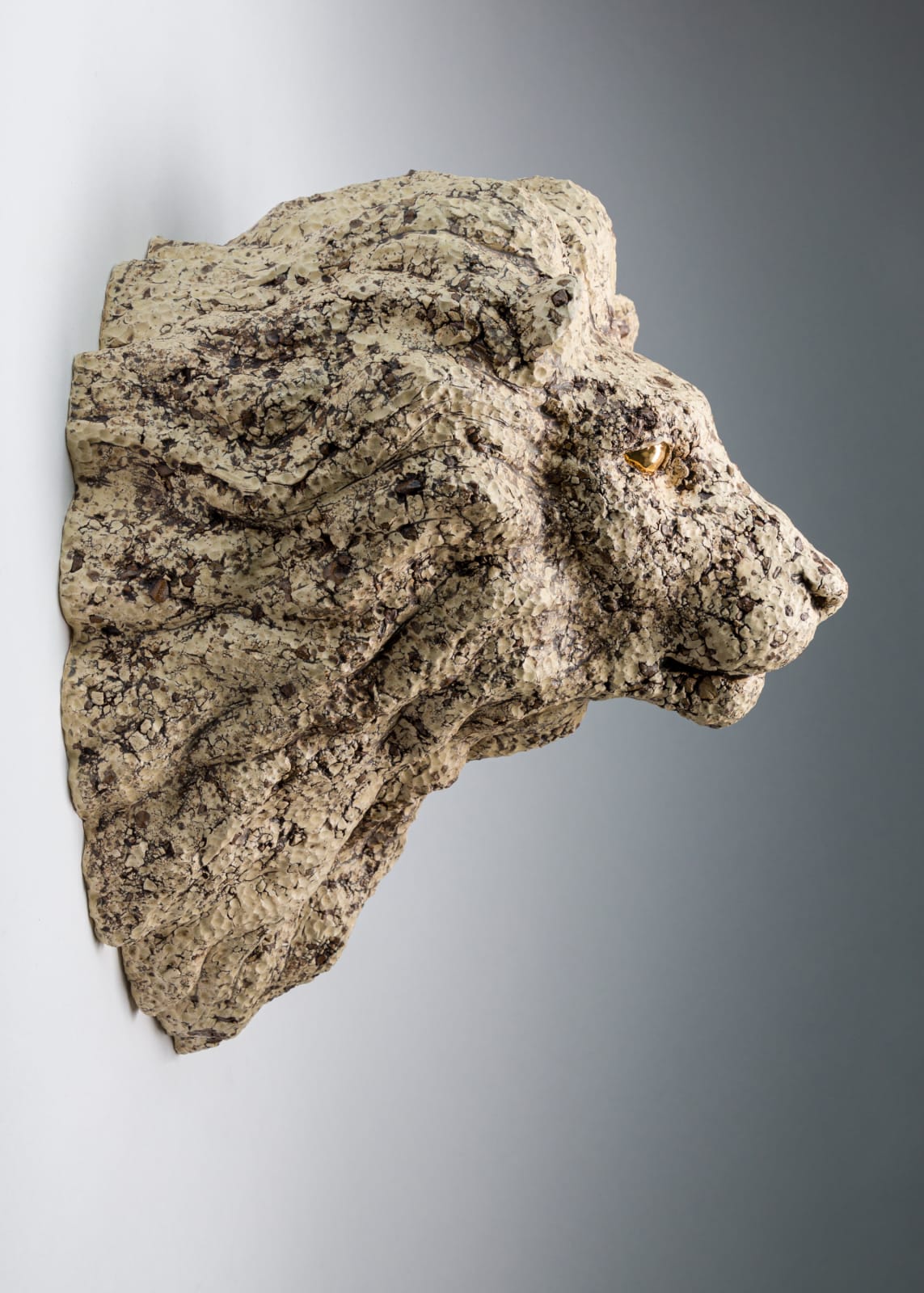 Wookjae Maeng, Balance - Lion B, 2017