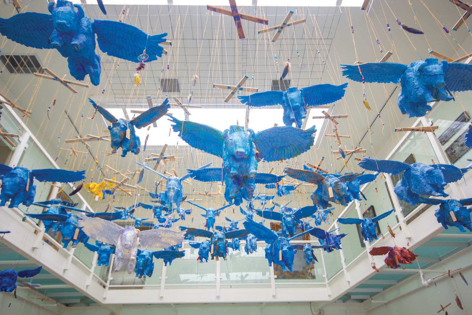 Armond Lara, Flying Blue Buffalo (installation), 2018