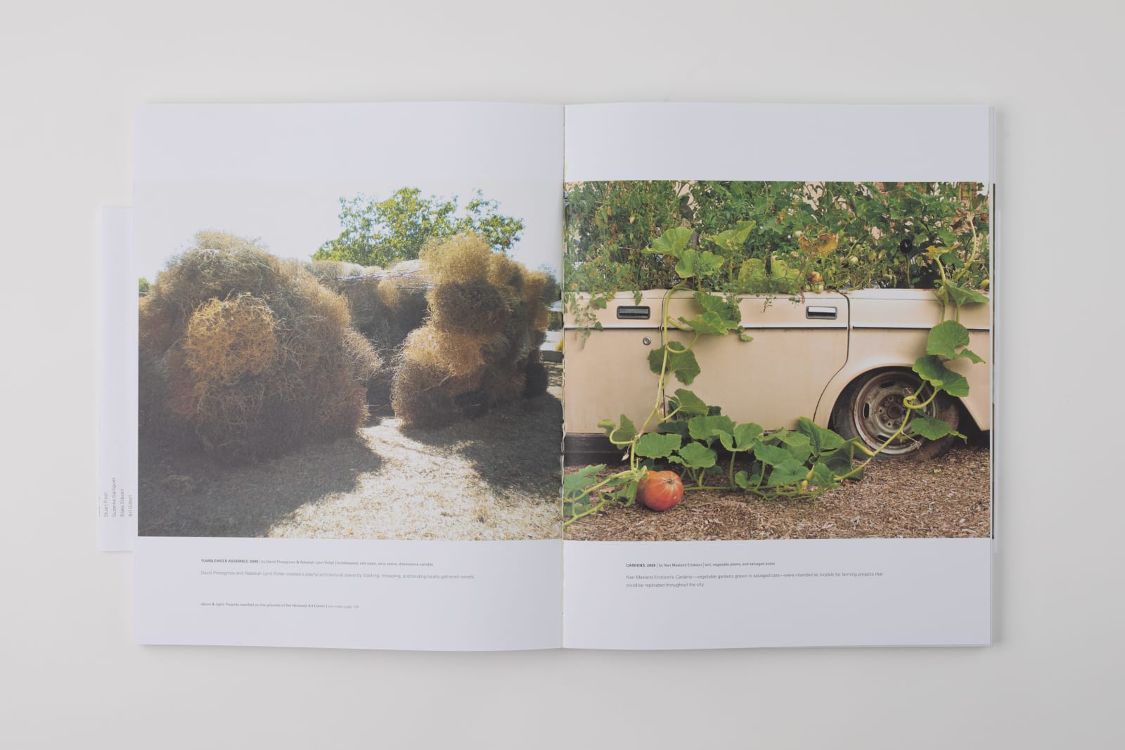 Radius Books, Land Art / New Mexico, 2009