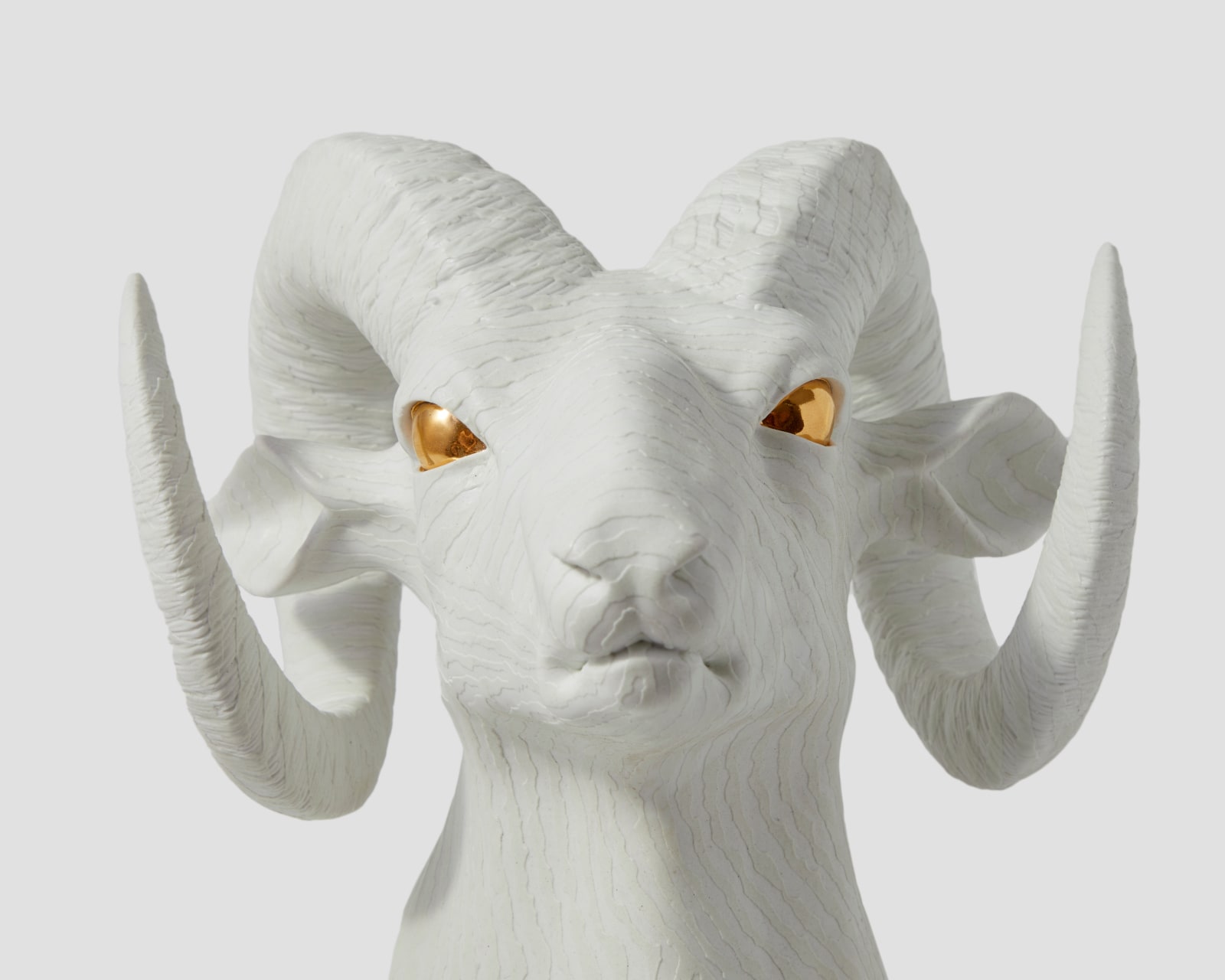 Wookjae Maeng, Adaptation #03-Big Horn Sheep, 2012