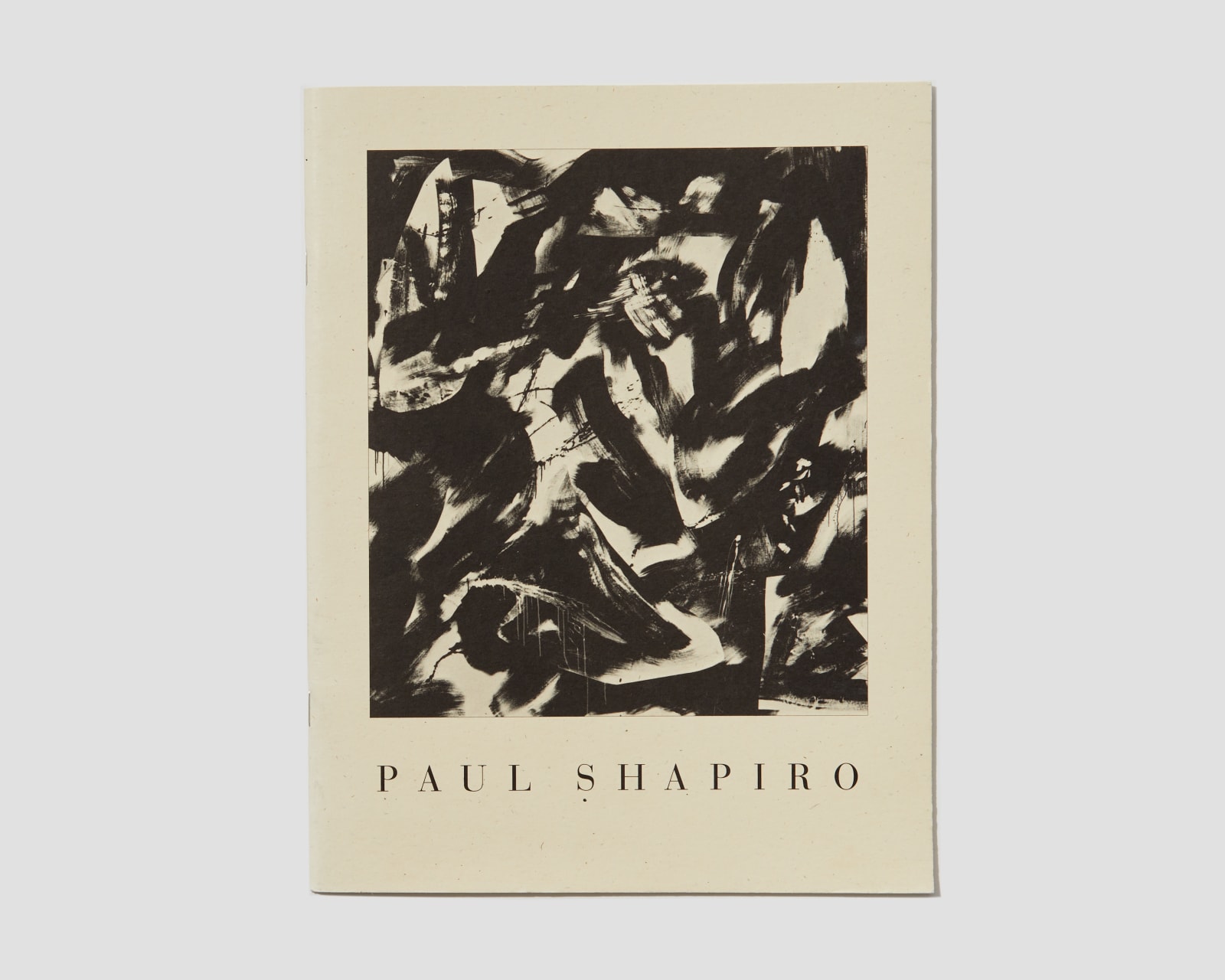 Books, Paul Shapiro - Quantumscapes