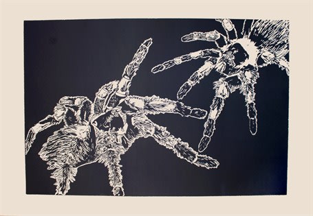 Thais Mather, Total Other (Spider), 2016