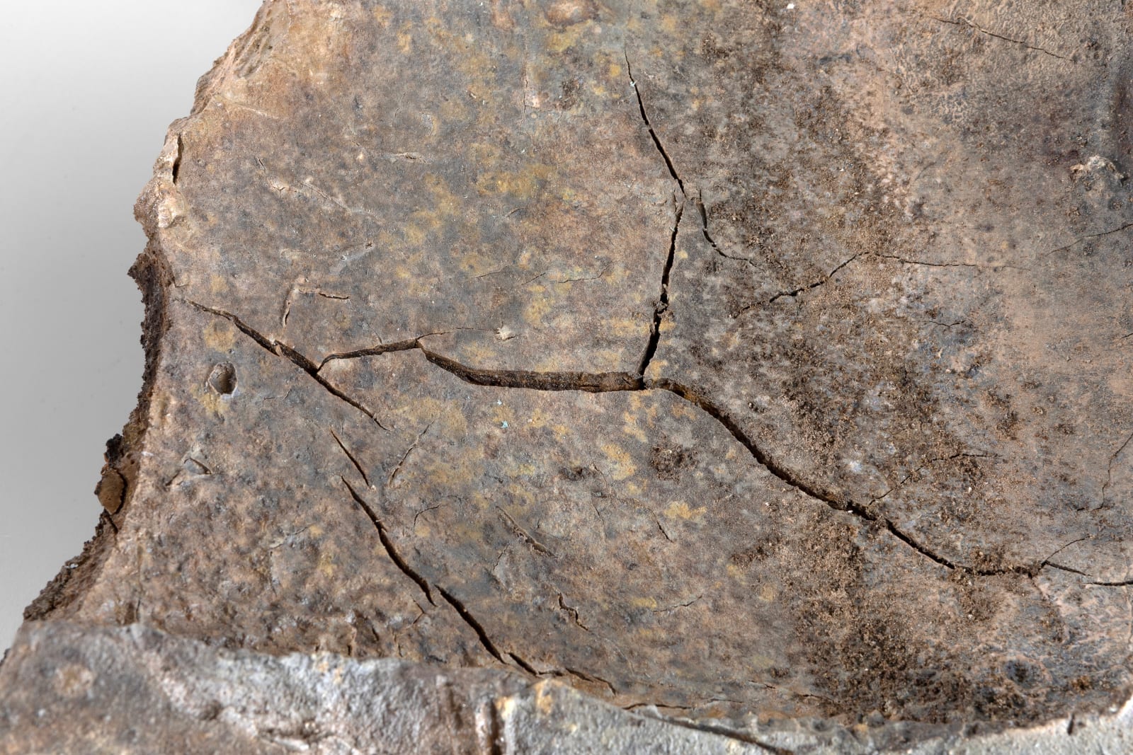 Avi Farber, Split Stone, Cretaceous Seaway, 2025