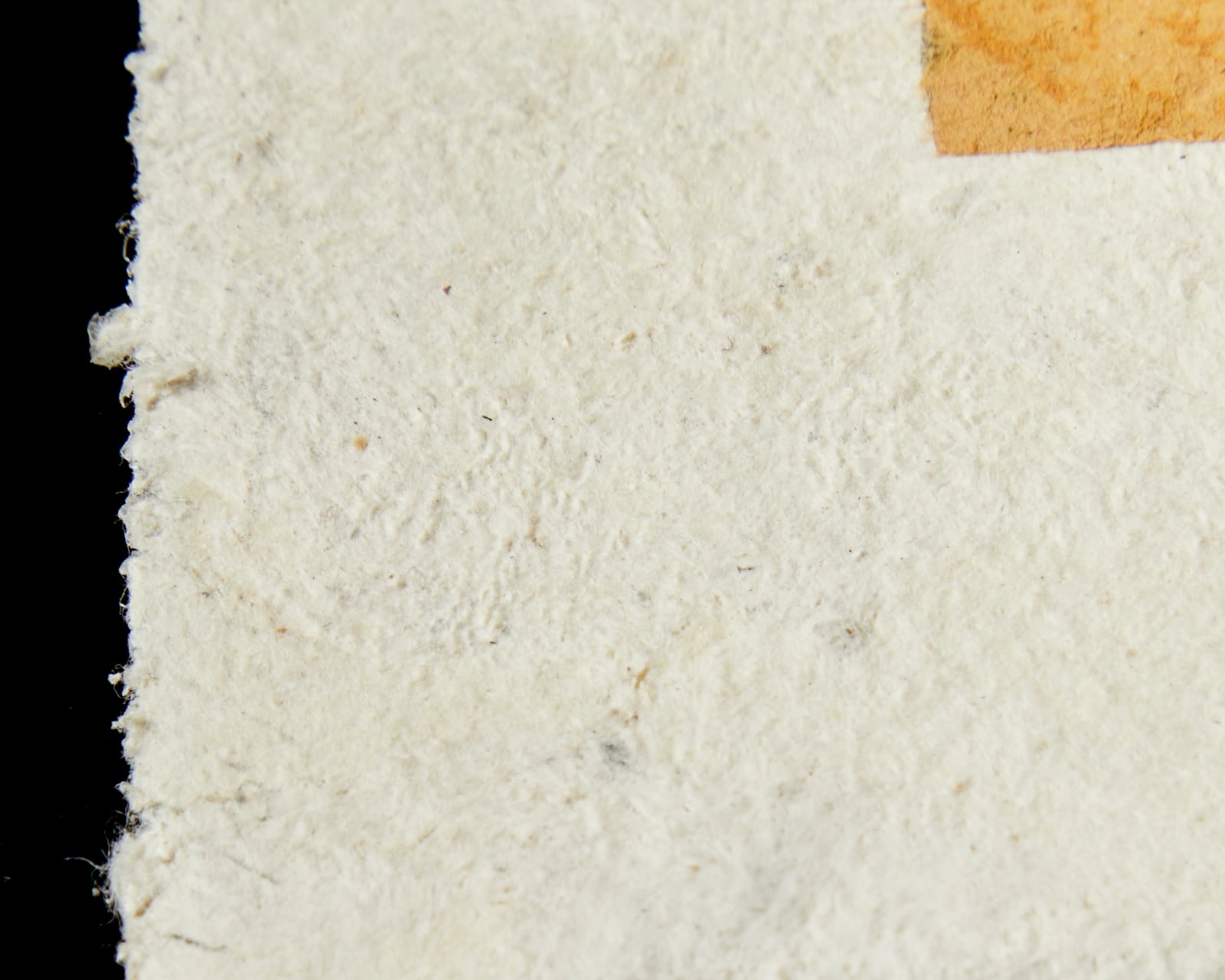 Armond Lara, Book Cover (Collage)