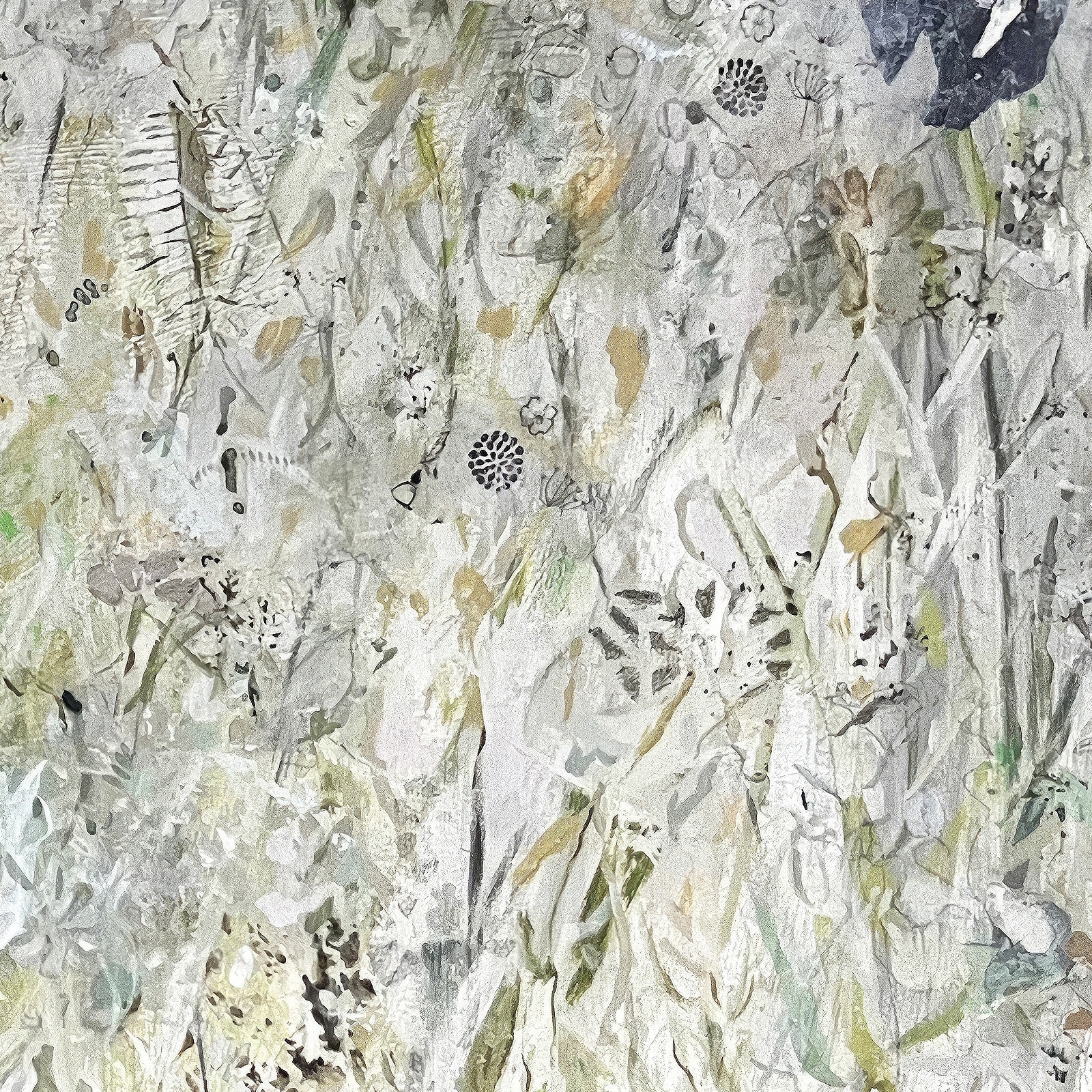 Kim Smart, Whispering Meadows, 2024