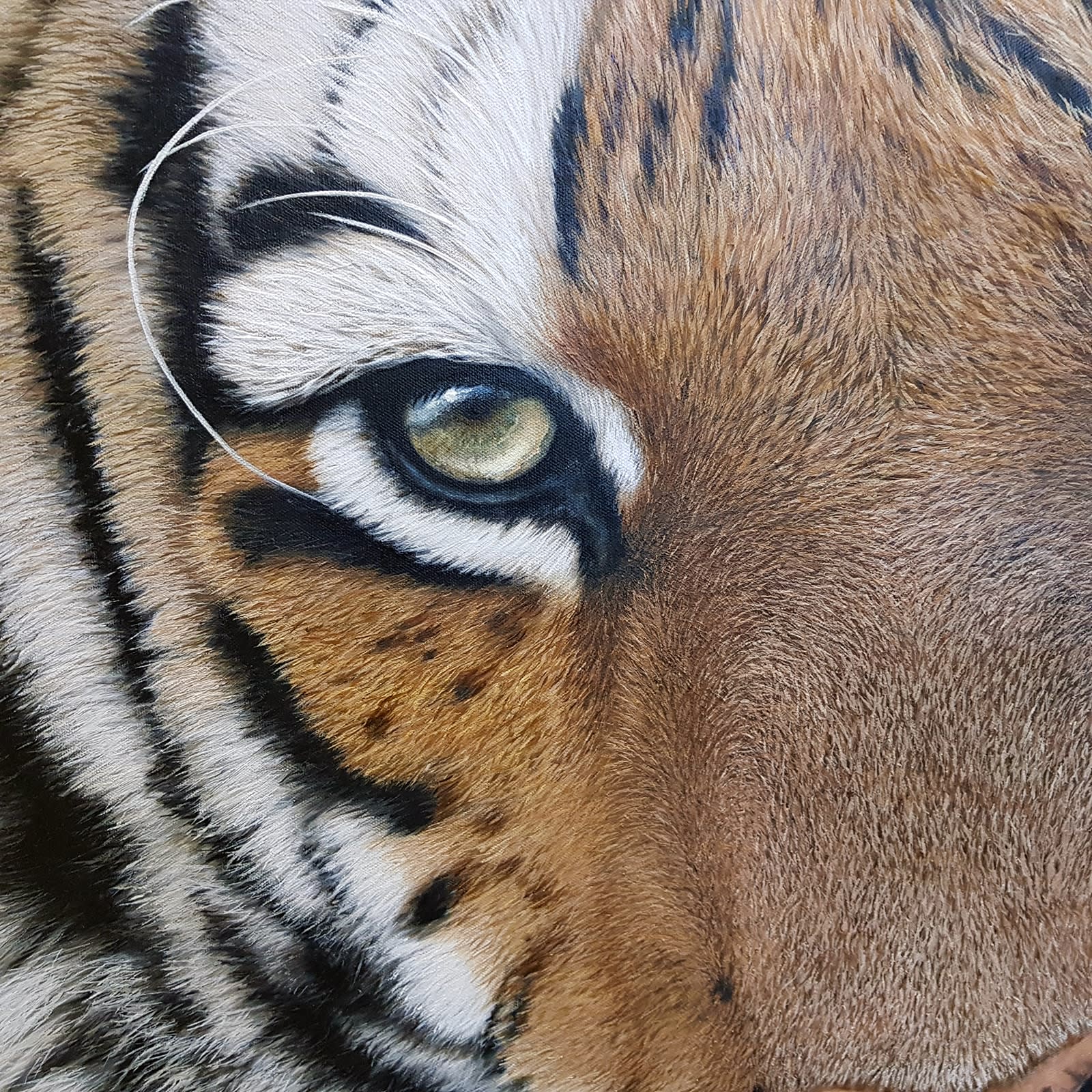 Krisztina Lencses, Tiger Stare, 2019